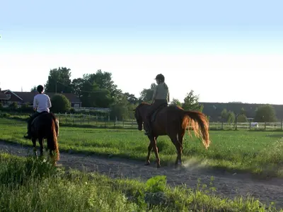 two people riding horses on a dirt road at Franschhoek Country House & Villas in Franschhoek