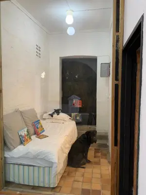 a dog sitting next to a bed in a room at The Barn, at Glenora Avenue in Somerset West