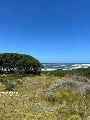 a beach with trees and the ocean in the background at Logans place in Hermanus