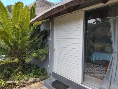 a window with a shutter on a house with a palm tree at The Thatched Cottage in Eversdal