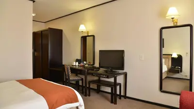 a bedroom with a bed and a desk with a television at Cumberland Hotel & Conference Centre Worcester in Worcester