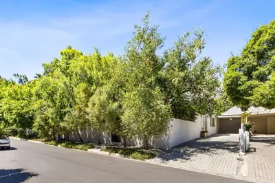 a large tree in front of a building at Pepler House in Franschhoek