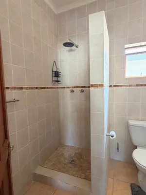 a bathroom with a shower with a toilet at Le Grec Wine Tram Apartment #2 in Franschhoek