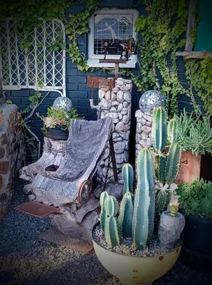a group of cactuses and plants in a garden at Anna's House of Arts in Strand