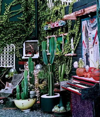 a group of cactuses in pots next to a wall at Anna's House of Arts in Strand