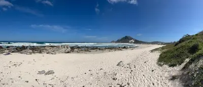 a sandy beach with a bunch of animals on it at Silversands Serenity in Bettyʼs Bay