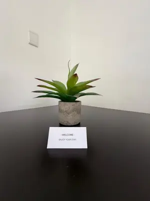 a potted plant sitting on a table with a sign at Plattekloof Mountain view in Plattekloof