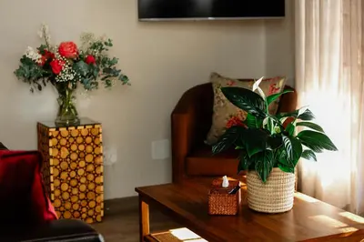 a living room with a chair and a table with a plant at MontMartre Chalets & Venue in Franschhoek