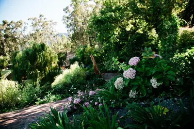 a garden with flowers and trees and a dirt road at MontMartre Chalets & Venue in Franschhoek