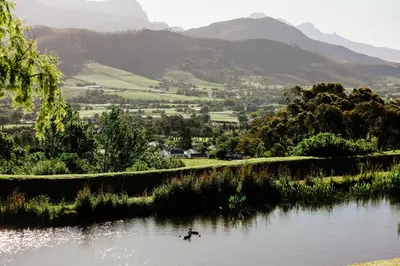 a duck swimming in a river with mountains in the background at MontMartre Chalets & Venue in Franschhoek