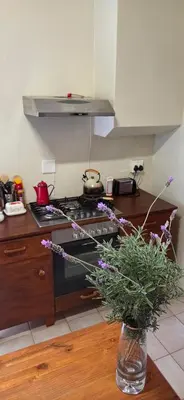a kitchen with a stove and a vase with flowers on a table at Bot River Farm Cottage in Botrivier