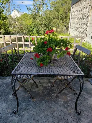 a picnic table with red flowers on it at Nerf-af Cottage at Onrus, Hermanus in Hermanus