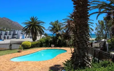 a palm tree next to a small swimming pool at Beachside Bliss Gordons Bay in Gordonʼs Bay