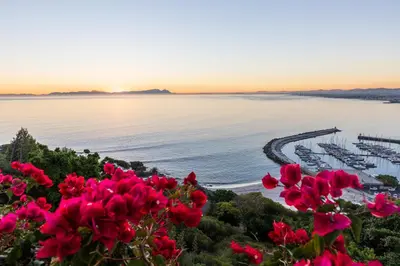a view of a marina with pink flowers at Celtic Manor Boutique Guest House in Gordonʼs Bay