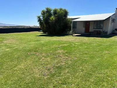 a yard with a palm tree and a house at The Old Silver Oaks Farm Cottage
