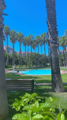 a park with a bench and palm trees at De Groove Luxury Homes in Cape Town