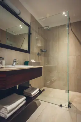 a bathroom with a shower and a sink and a mirror at Clos Malverne Wine Estate in Stellenbosch