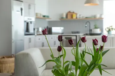 a vase filled with purple flowers in a living room at Villa Marine Guest House in Pringle Bay