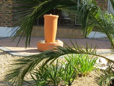 a palm tree in front of a house at Coral Tree Guest Rooms in Worcester