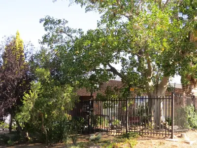 a fence with a tree in front of a house at Coral Tree Guest Rooms in Worcester
