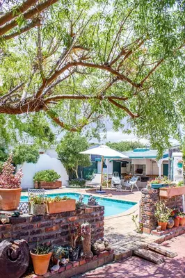 a backyard with a swimming pool and a tree at Brookwood Cottage in Somerset West