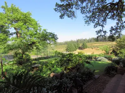 a garden with plants and a hill in the background at Modderkloof Farm Accommodation in Paarl