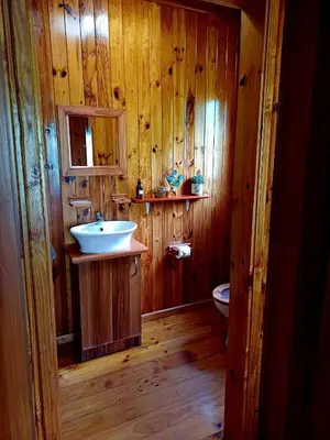 a wooden bathroom with a sink and a toilet at The River Siding in Wolseley