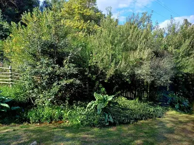 a garden with a fence and a tree at The River Siding in Wolseley