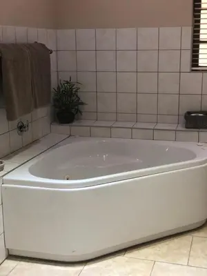 a white tub in a bathroom with a plant at Oak Tree Lodge in Paarl