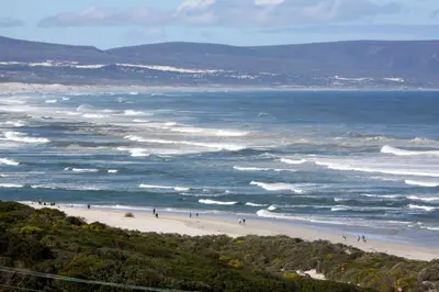 people walking on a beach near the ocean at Lavender Manor Guest Lodge in Hermanus