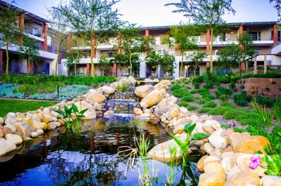 a garden with a pond in front of a building at Mayfair Luxury Apartments in Cape Town