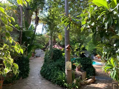 a garden with a pool and trees and a pole at The Little Hideaway Guesthouse in Stellenbosch