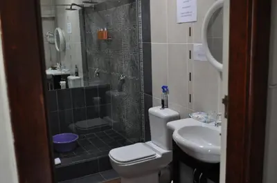 a bathroom with a shower and a toilet and a sink at Cotswold House in Cape Town
