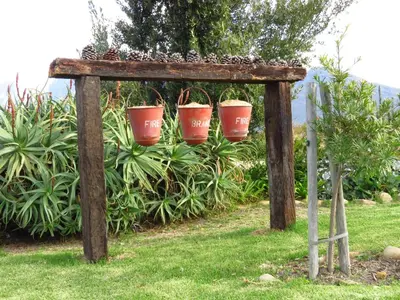 a wooden stand with three potted plants on it at Seven Oaks Vineyard Cottages in Wolseley