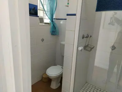 a small bathroom with a toilet and a shower at Rose Cottage in Hermanus