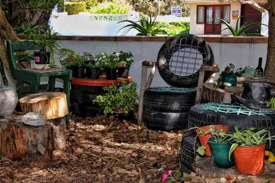 a garden with plants and a chair and some trees at Zoete Inval in Hermanus