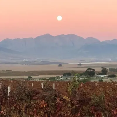 a sunset over a vineyard with the sun setting over mountains at Doran Vineyards in Paarl