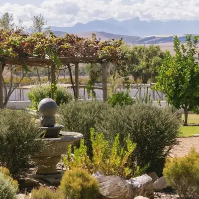 Doran Vineyards