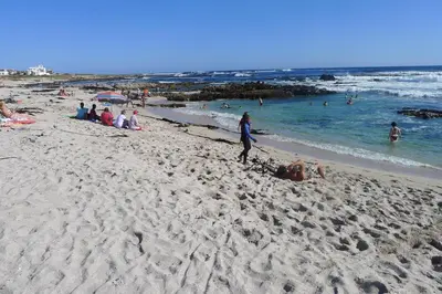 a group of people on a beach near the ocean at Pashasha Beach House and Hot Tub in Hermanus