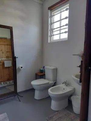 a bathroom with a toilet and a sink and a window at Kimi's Cottage in Simondium
