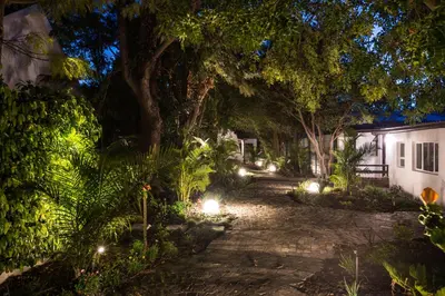a garden at night with lights at Just Unwind in Somerset West