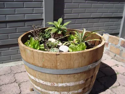 a wooden barrel with plants in it at brookdale house in Cape Town