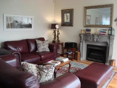 a living room with a leather couch and a fireplace at brookdale house in Cape Town