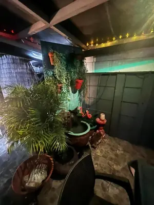 a group of potted plants in a room at Mitchell's Guesthouse in Parow