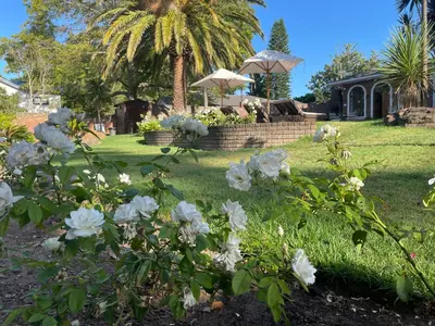a garden with white roses in front of a house at Boutique Villa Guesthouse in Somerset West