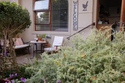 a garden with flowers and a table and chairs at Treehouse at Theebos in Strand