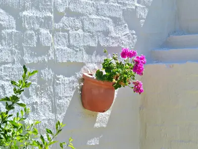 a pot of flowers hanging on a wall at The Gables Hermanus in Hermanus