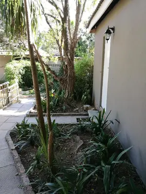 a garden with a palm tree next to a building at Willows Curve in Somerset West