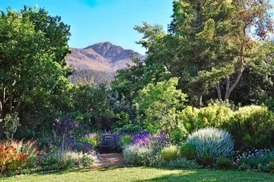 a garden with flowers and a mountain in the background at The Garden View Suite in Franschhoek