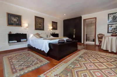 a bedroom with a bed with a television and a rug at The Garden View Suite in Franschhoek